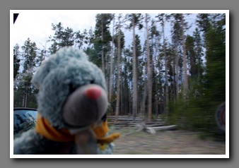 [Click to enlarge image]