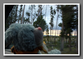 [Click to enlarge image]