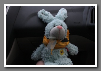 [Click to enlarge image]