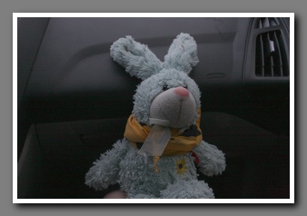 [Click to enlarge image]