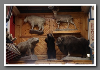 [Click to enlarge image]