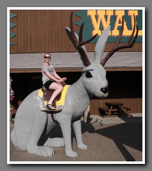 [Click to enlarge image]