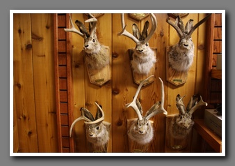 [Click to enlarge image]