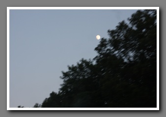 [Click to enlarge image]