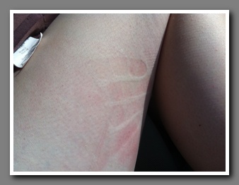 [Click to enlarge image]