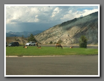 [Click to enlarge image]