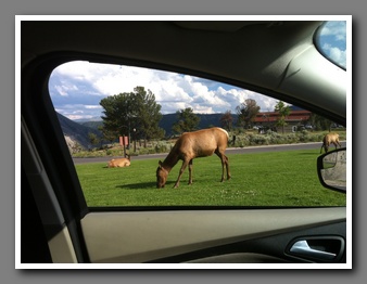 [Click to enlarge image]