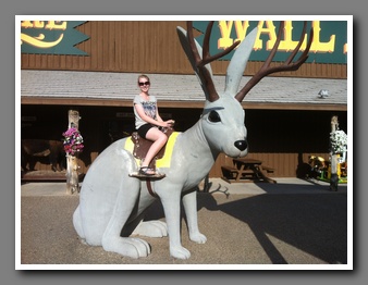 [Click to enlarge image]