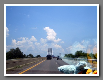 [Click to enlarge image]