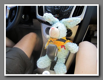 [Click to enlarge image]