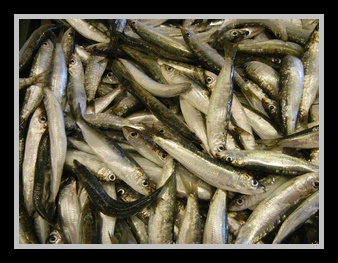 [Click to enlarge image]