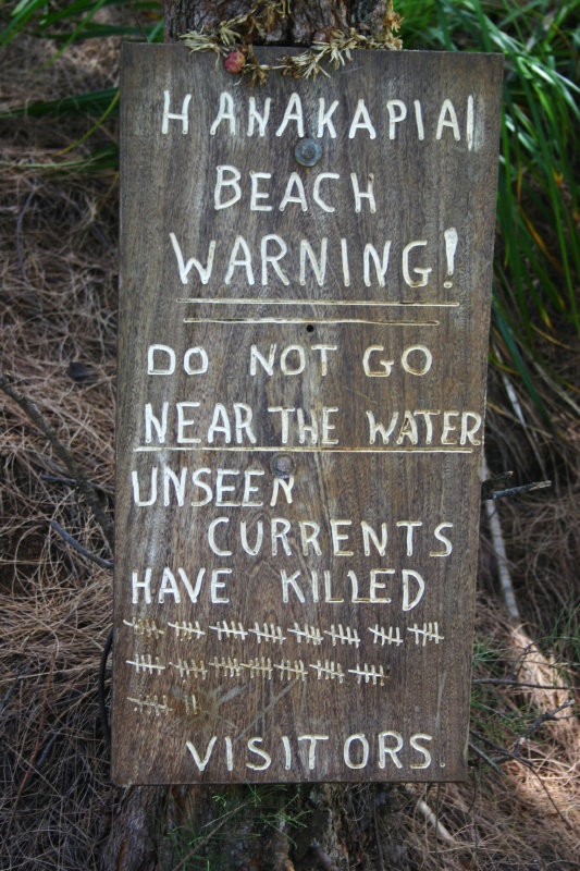 82 People Have Died here