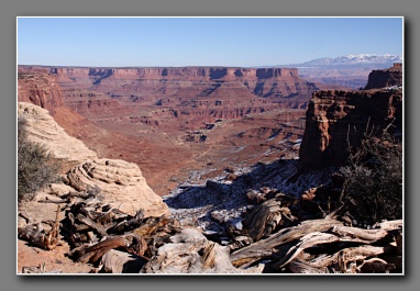 [Click to enlarge image]