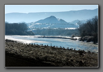 [Click to enlarge image]