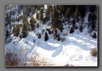 [Click to enlarge image]