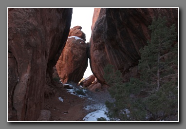 [Click to enlarge image]