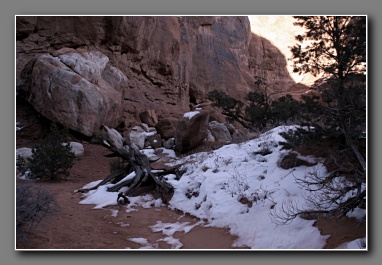 [Click to enlarge image]