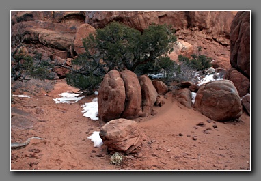 [Click to enlarge image]