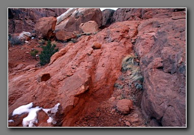 [Click to enlarge image]