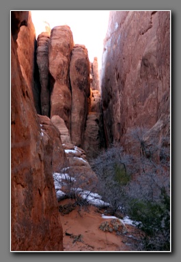 [Click to enlarge image]