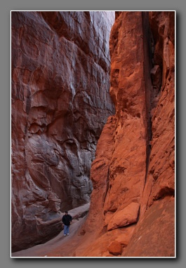 [Click to enlarge image]