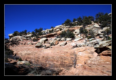 [Click to enlarge image]