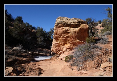 [Click to enlarge image]