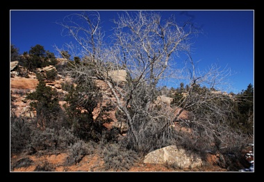 [Click to enlarge image]