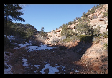 [Click to enlarge image]