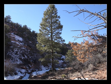 [Click to enlarge image]