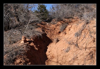 [Click to enlarge image]