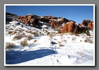 [Click to enlarge image]