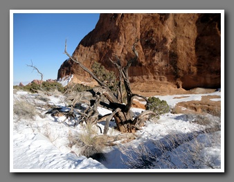 [Click to enlarge image]