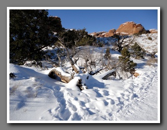 [Click to enlarge image]