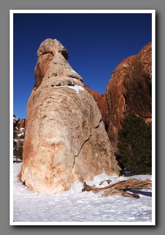 [Click to enlarge image]