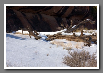 [Click to enlarge image]