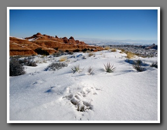 [Click to enlarge image]