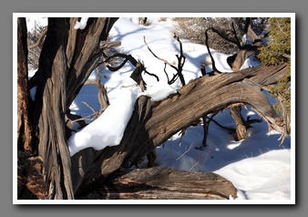 [Click to enlarge image]