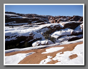 [Click to enlarge image]