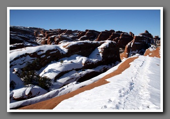 [Click to enlarge image]