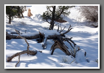 [Click to enlarge image]