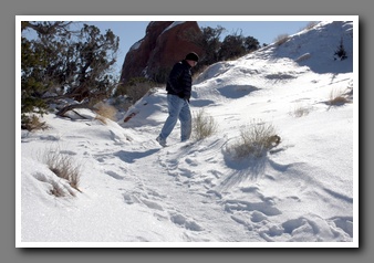 [Click to enlarge image]