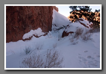 [Click to enlarge image]