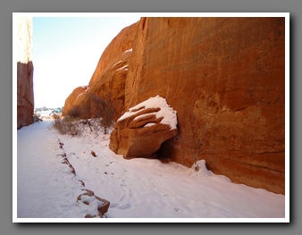 [Click to enlarge image]