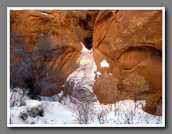 [Click to enlarge image]