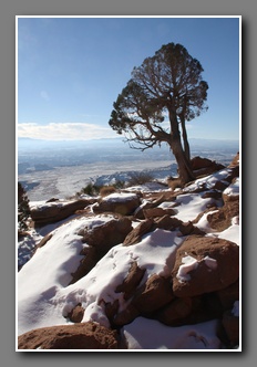 [Click to enlarge image]