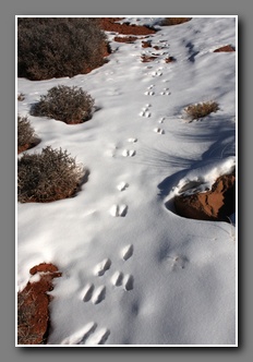 [Click to enlarge image]