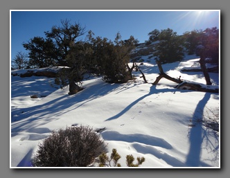 [Click to enlarge image]