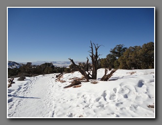 [Click to enlarge image]