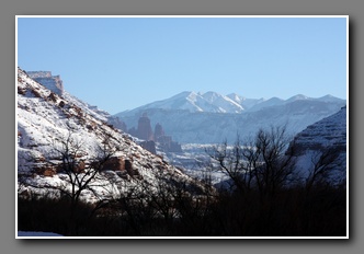 [Click to enlarge image]